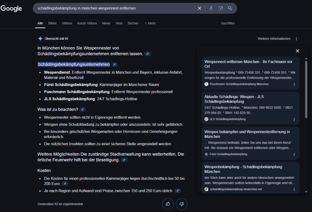 AI Overviews in Deutschland - Neue Google Suche mit Übersicht mit KI
