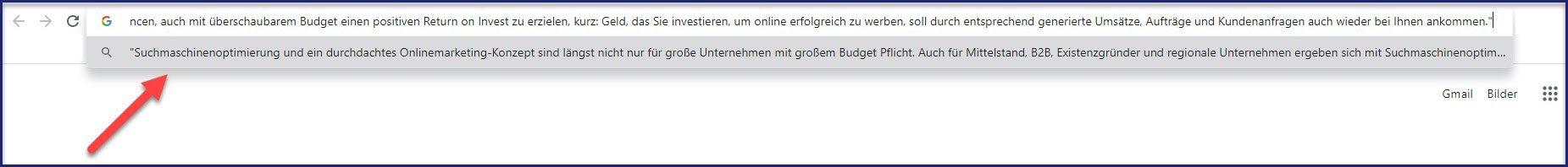 Duplicate Content Suche